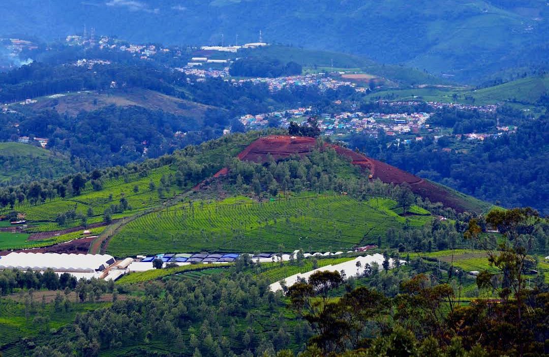 DAY 01: ARRIVE COIMBATORE – OOTY